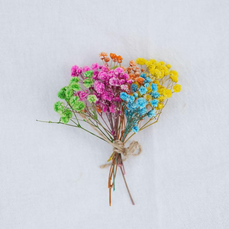 Wedding Supply Rentals - Mini Bouquet di Fiori Secchi Naturali